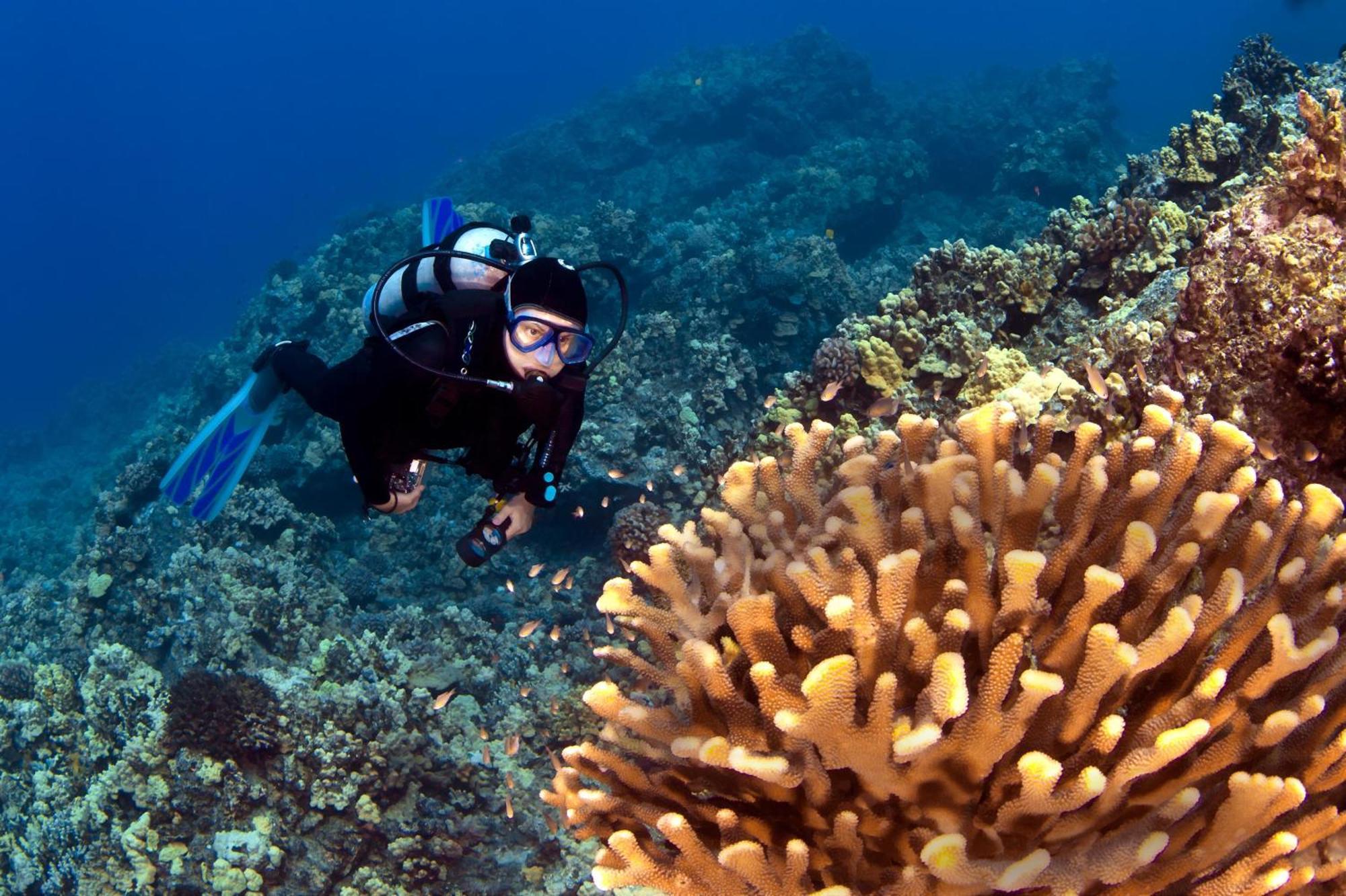 キヘイ Wailea Ekolu 1604ヴィラ エクステリア 写真
